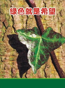綠色行動，責任共擔——環(huán)保綠化公益海報倡議
