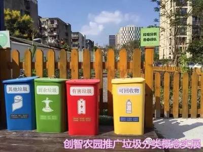 從代碼到菜園 一位前IT精英的都市農(nóng)耕夢(mèng)